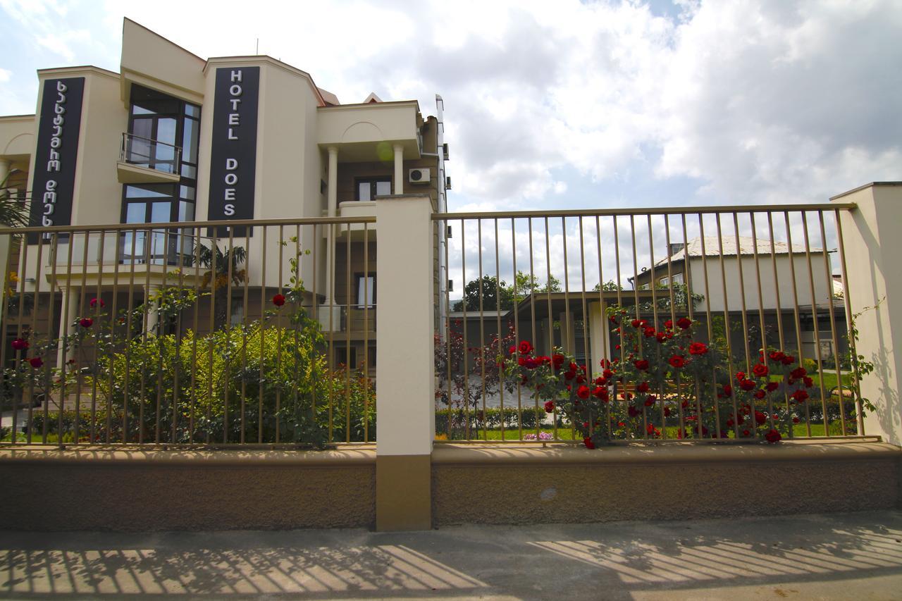 Hotel Doesi Tiflis Exterior foto